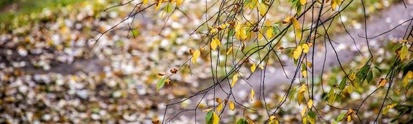 В выходные дни во Владивостоке погода испортится