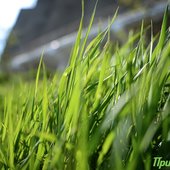 Приморье шагнуло в метеорологическое лето