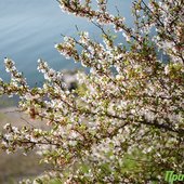 Приморье шагнуло в метеорологическое лето