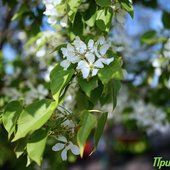 Приморье шагнуло в метеорологическое лето