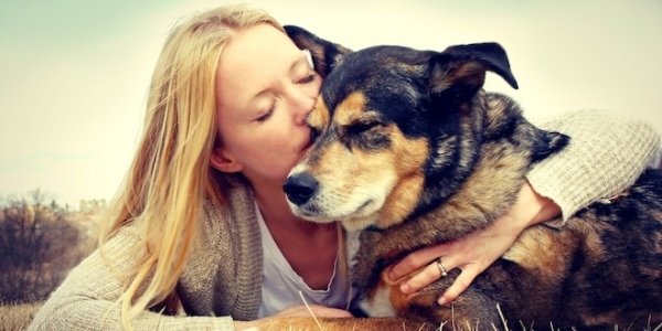 Сердца собак и их хозяев бьются в унисон