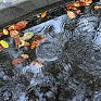 В конце недели во Владивостоке начнётся период ненастной погоды