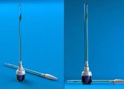 Sprout Pen: ручка-растение Sprout Pen: ручка-растение