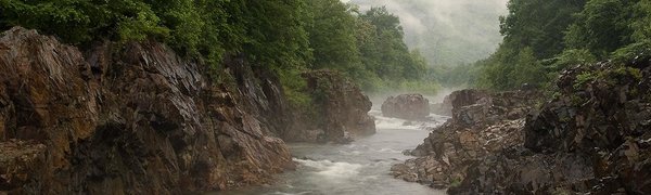 Реки северных районов Приморья поднялись на 20 см