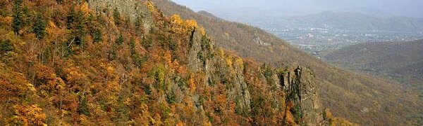 Солнечная погода ожидается в Приморье на выходных