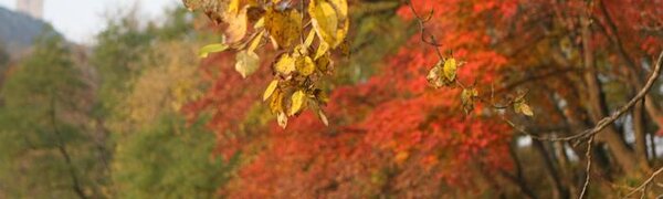 На выходных температуры превышали норму на 3 — 7 градусов