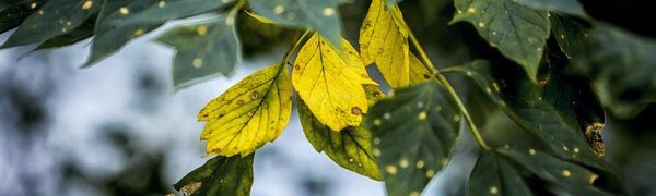 Погода в Приморье начнет ухудшаться в воскресенье