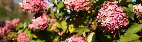 Завершение бархатного сезона на юге России прогнозируется в районе 10 октября