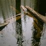Из-за дождей на реках Приморья ожидается дополнительный подъём воды