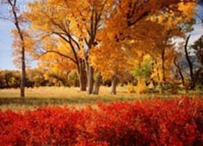 Вторая декада октября выдалась теплее обычного