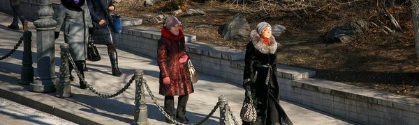 В среду в Приморье поднимется сильный ветер и резко похолодает