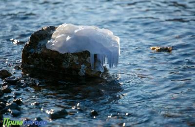Вместо декабрьских морозов в Приморье настала мартовская оттепель