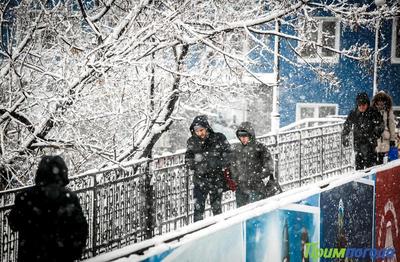 22–23 декабря в Приморье ожидается значительное ухудшение погоды