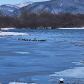 Декабрь в Сихотэ-Алинском заповеднике – начало суровой зимы