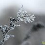 Прогноз погоды на выходные: ночные морозы усилятся в Приморье