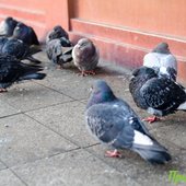 Первый день зимы в Приморье будет морозным