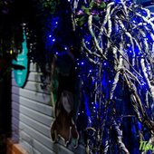 Первый день зимы в Приморье будет морозным