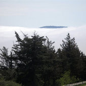 Необычный туман в мире