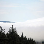 Необычный туман в мире