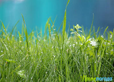 Сегодня во Владивостоке возможен дождь