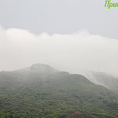 Необычный туман в мире