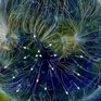 20 сентября возможна геомагнитная буря