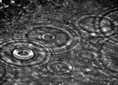 Нью-йоркский тренд — бочка для дождевой воды