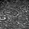 Нью-йоркский тренд — бочка для дождевой воды