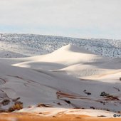 В пустыне Сахара второй год подряд выпал снег (ФОТО)
