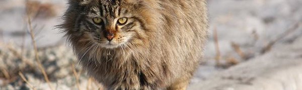 Выходные в Приморье будут ветреными и холодными