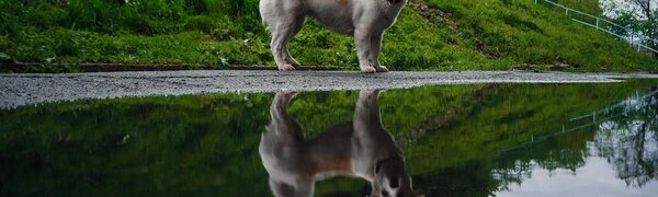 1 сентября во многих районах Приморья пройдут дожди