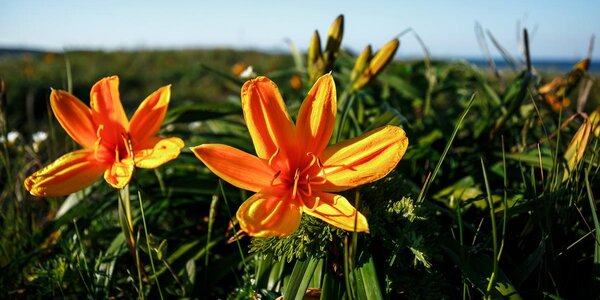 Прогноз погоды в Приморье на начало рабочей недели