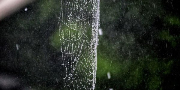 На следующей неделе в Приморье будет дождливо