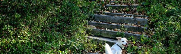 Выходные дни во Владивостоке будут погожими