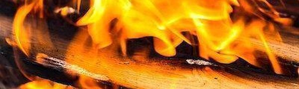 Несмотря на зимний сезон, в Приморье горят леса