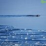 Оттепели до +4 °С ожидаются на юге Приморья в первые выходные зимы