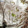 Погода в Приморье на следующей неделе будет переменчивой