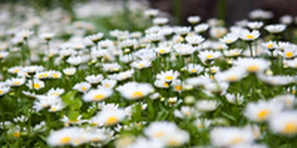 Завтра вечером во Владивостоке возможен небольшой дождь