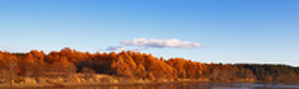 В Приморье похолодало