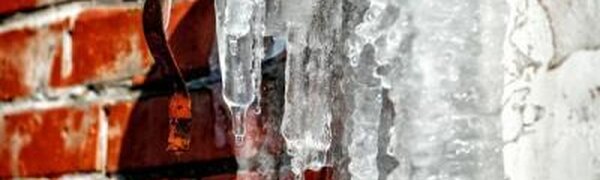 Потепление пришло в Приморье