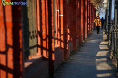 В среду во Владивостоке потеплеет до +3°C