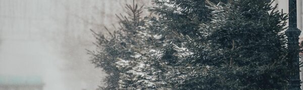 С резкого ухудшения погоды начнется неделя в Приморье: снег, гололедица и похолодание