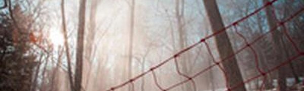 На этой неделе воздух во Владивостоке прогреется до -2 °С