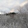 Морозы в Приморье будут постепенно ослабевать