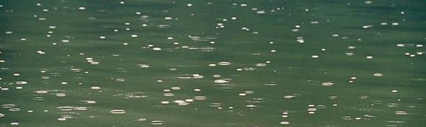 На реках Приморья ожидается резкий подъём воды