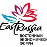 Примгидромет разработал погодный сайт к Восточному экономическому форуму