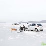 Прогноз погоды для рыбаков-любителей на 3–5 февраля