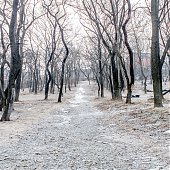 Многообразием погодных явлений отметились выходные дни во Владивостоке