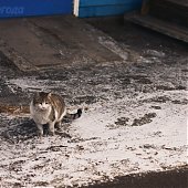 Многообразием погодных явлений отметились выходные дни во Владивостоке