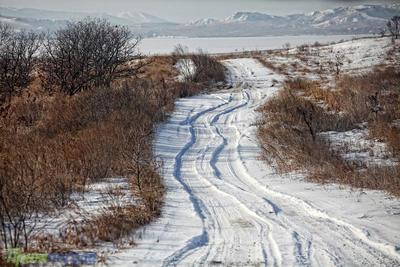 Декабрь в Приморье будет снежным